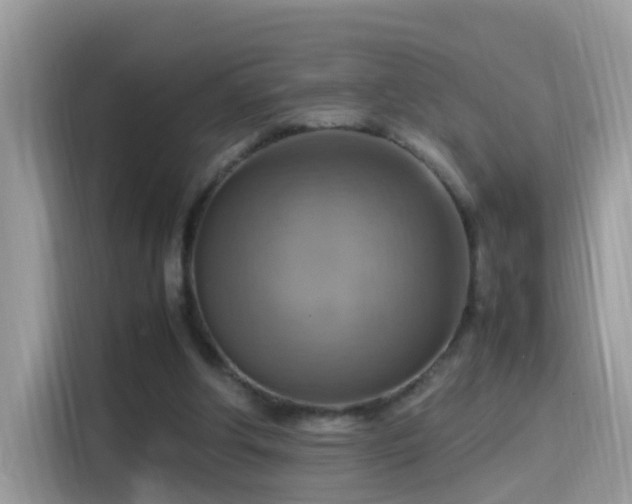 X0000115560202200911131634