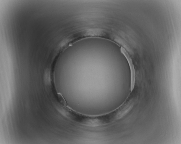 X0000115560203200911131634