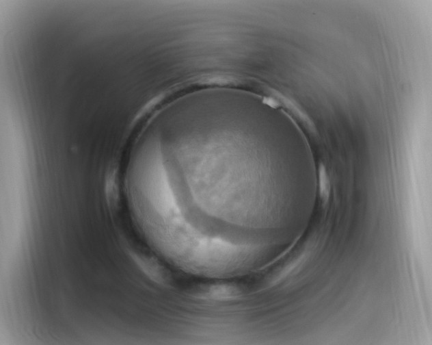 X0000115560204200911131633