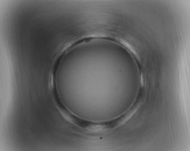 X0000115560205200911131633