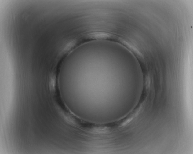 X0000115560206200911131633