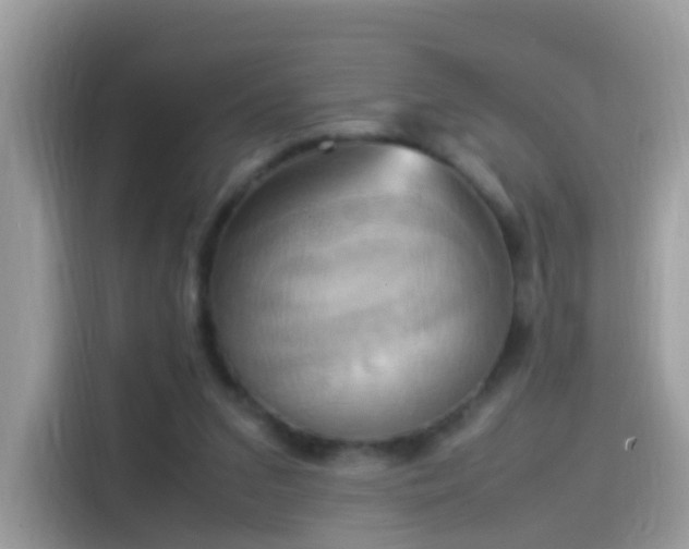 X0000115560207200911131633