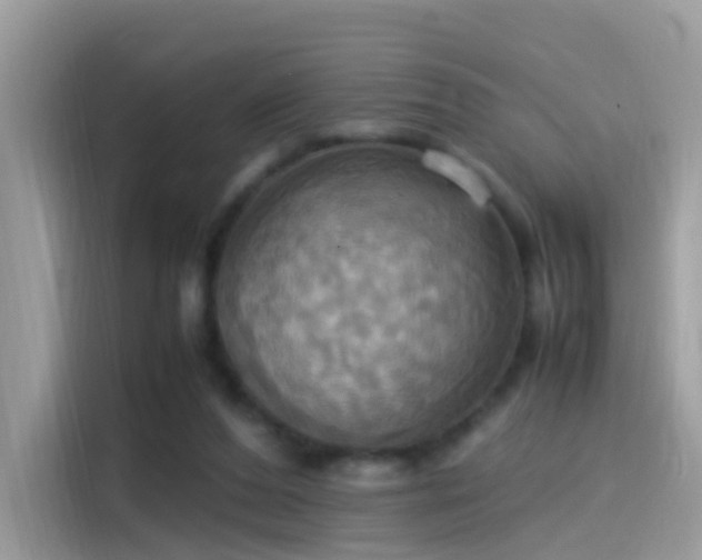 X0000115560208200911131633