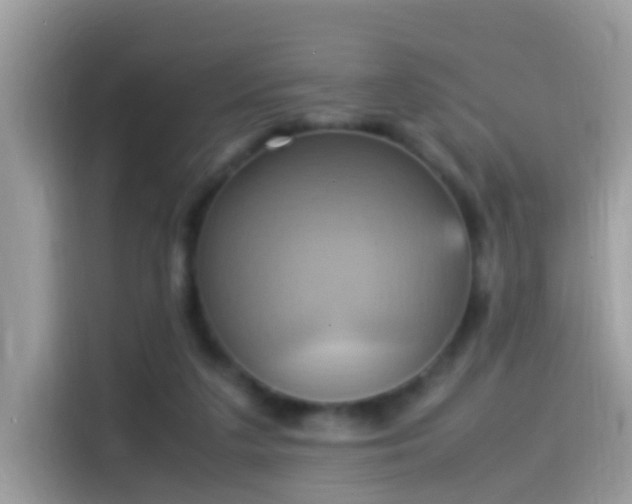 X0000115560211200911131633