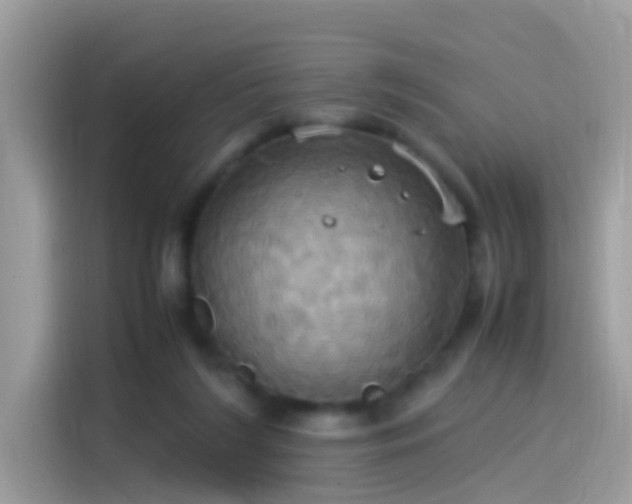 X0000115560212200911131633