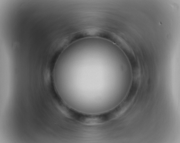 X0000115560213200911131633