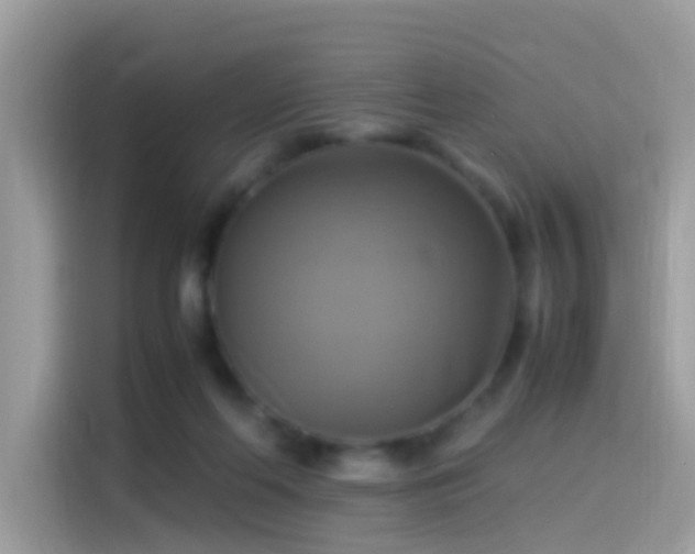 X0000115560214200911131633