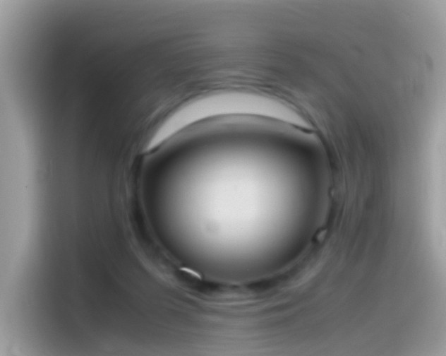 X0000115560215200911131633