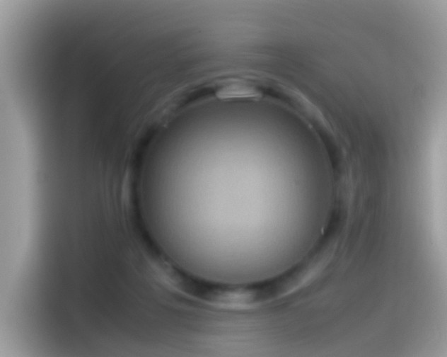 X0000115560217200911131633