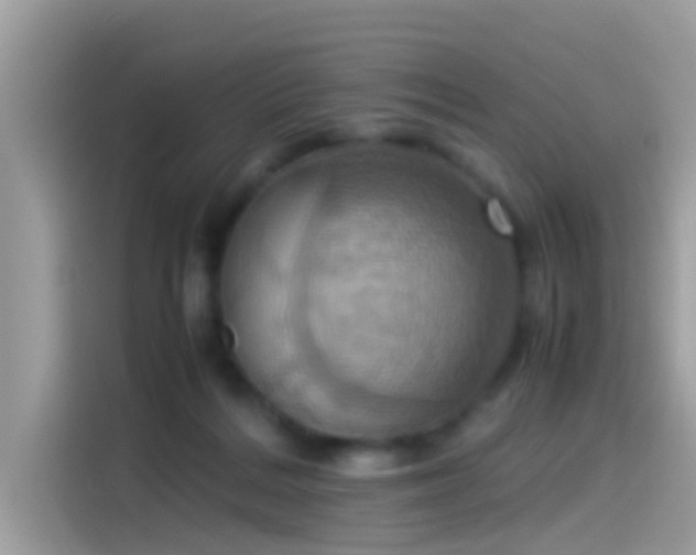 X0000115560220200911131633