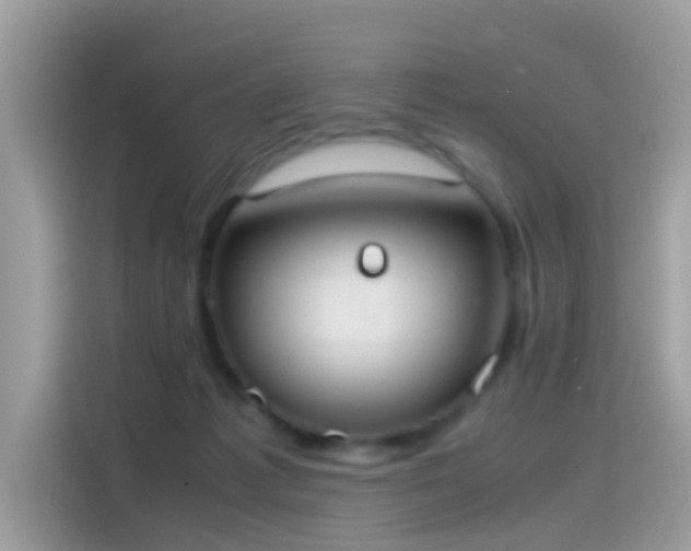 X0000115560221200911131633