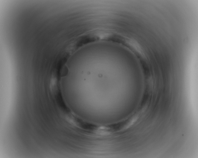 X0000115560222200911131633