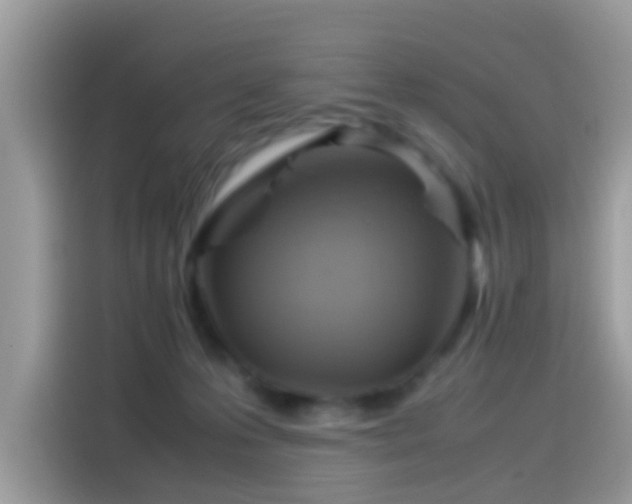 X0000115560223200911131633