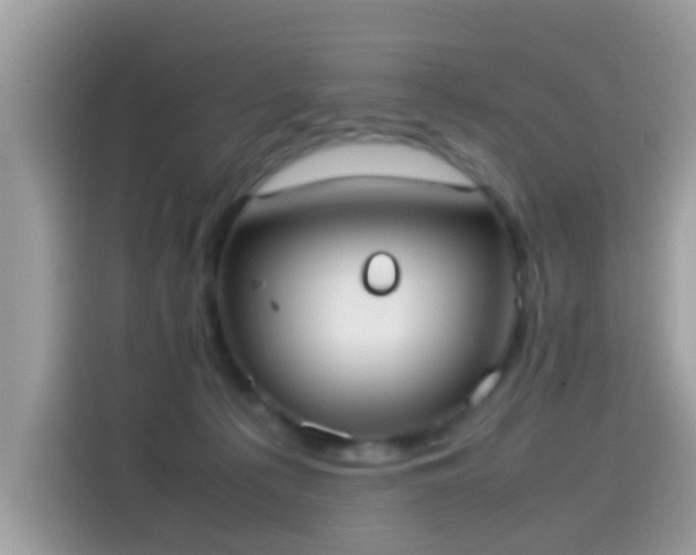 X0000115560225200911131633