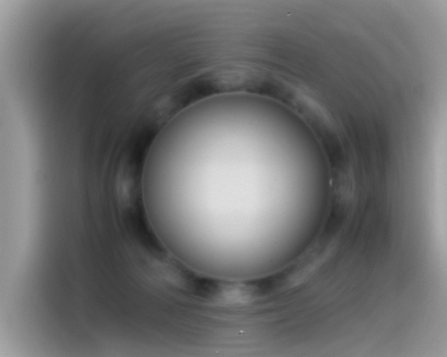 X0000115560226200911131633