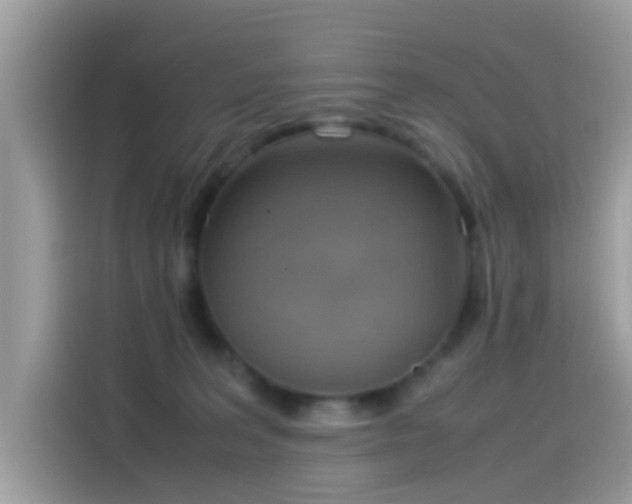 X0000115560227200911131633