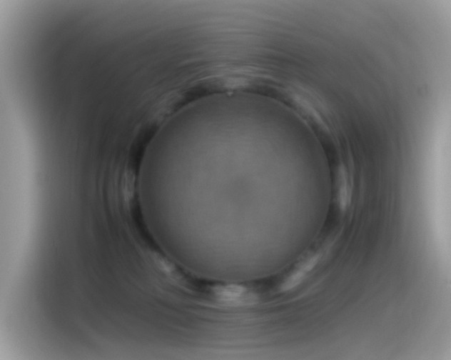 X0000115560230200911131633