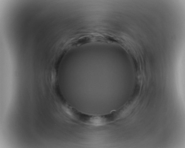 X0000115560231200911131633