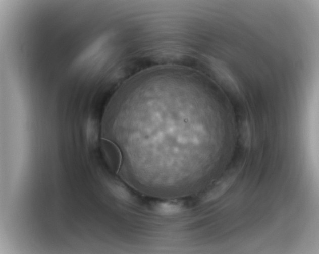 X0000115560232200911131633