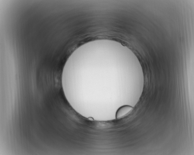 X0000115560234200911131633