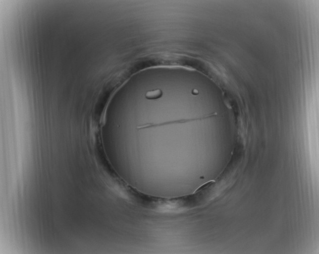 X0000115560235200911131633