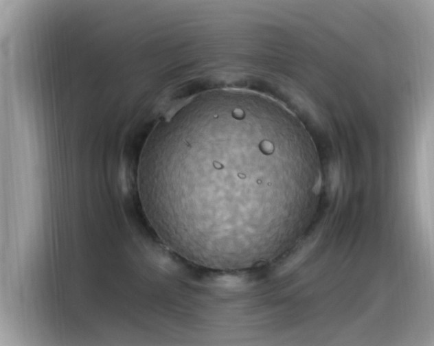 X0000115560236200911131633