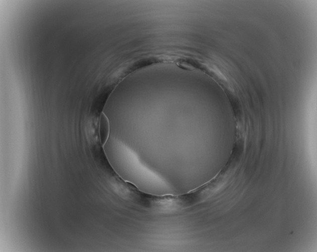 X0000115560237200911131633