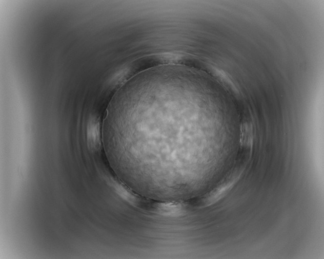 X0000115560238200911131633