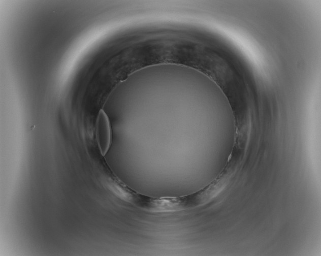 X0000115560239200911131633