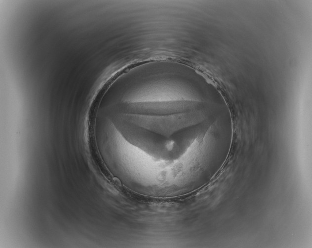 X0000115560242200911131632