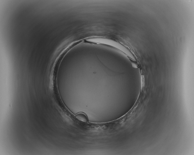 X0000115560243200911131632