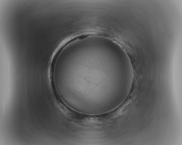 X0000115560244200911131632