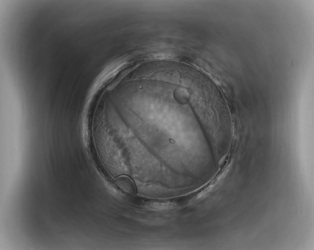 X0000115560245200911131632