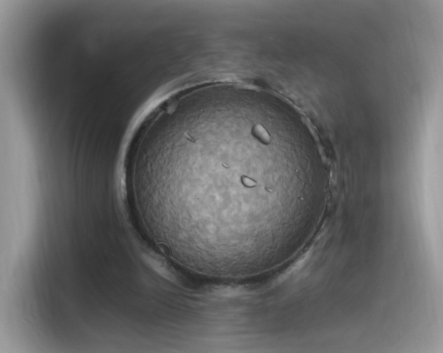 X0000115560246200911131632