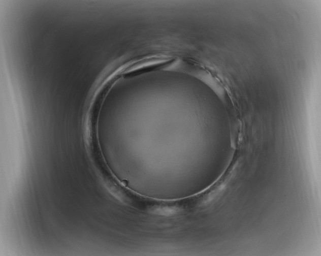 X0000115560247200911131632