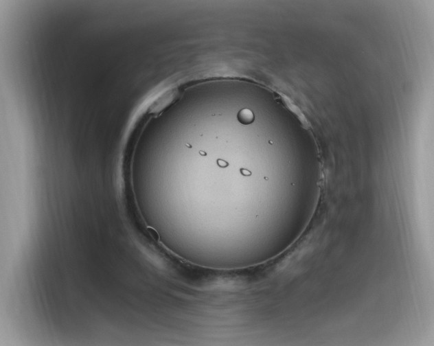 X0000115560248200911131632