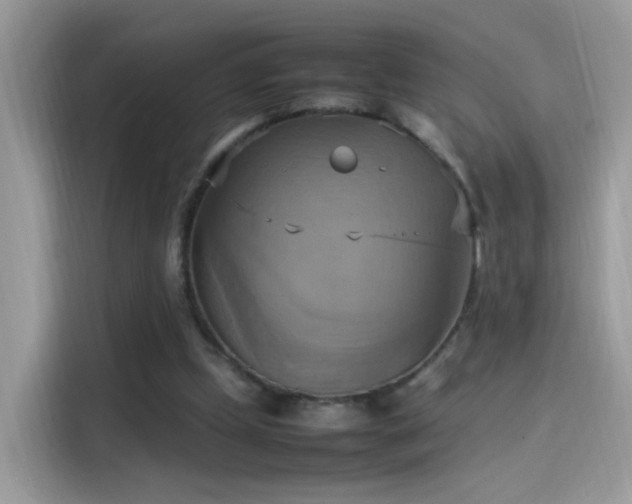 X0000115560249200911131633