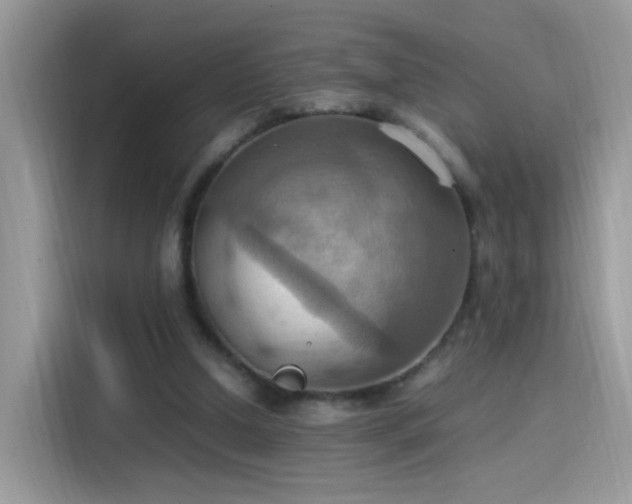 X0000115560250200911131633