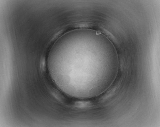 X0000115560251200911131633