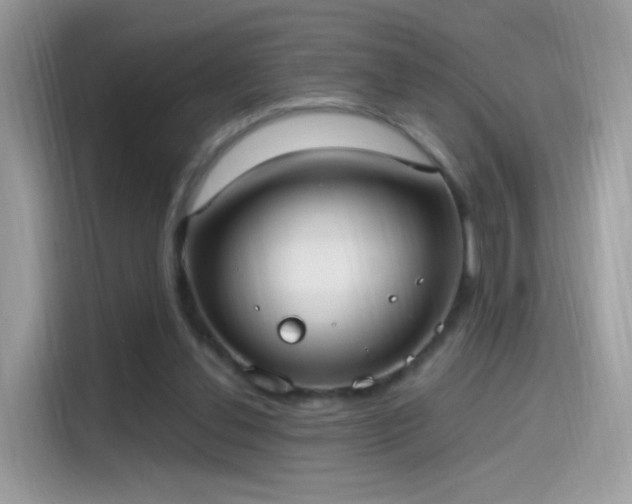 X0000115560252200911131633