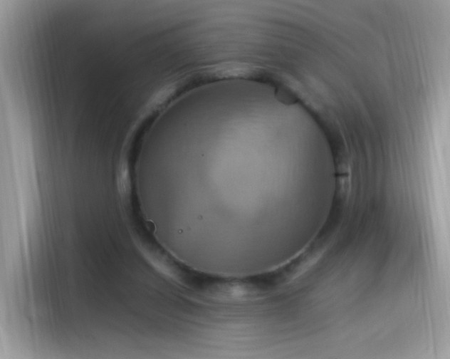 X0000115560254200911131633