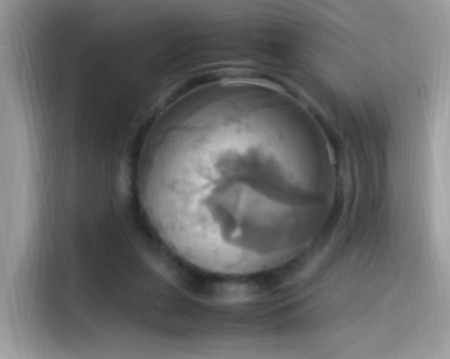 X0000115560255200911131633