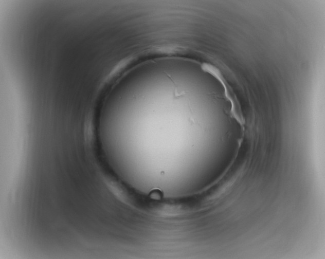 X0000115560256200911131633