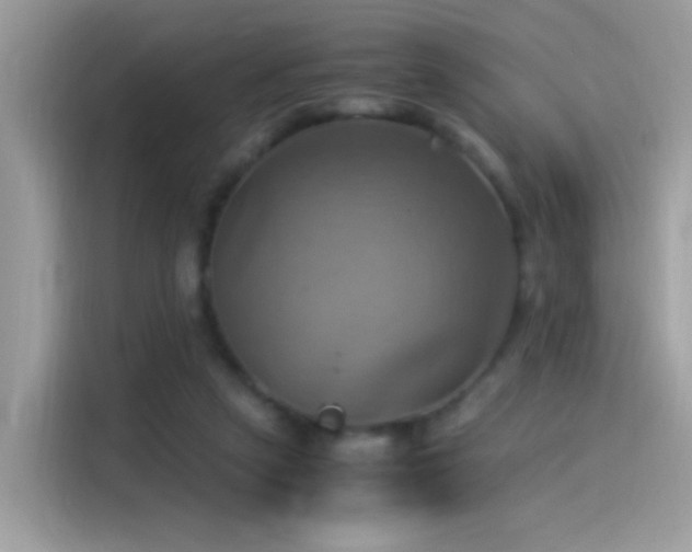 X0000115560257200911131633