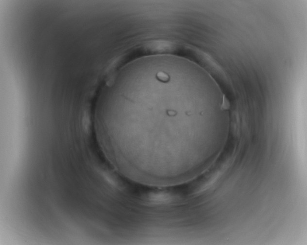 X0000115560259200911131633