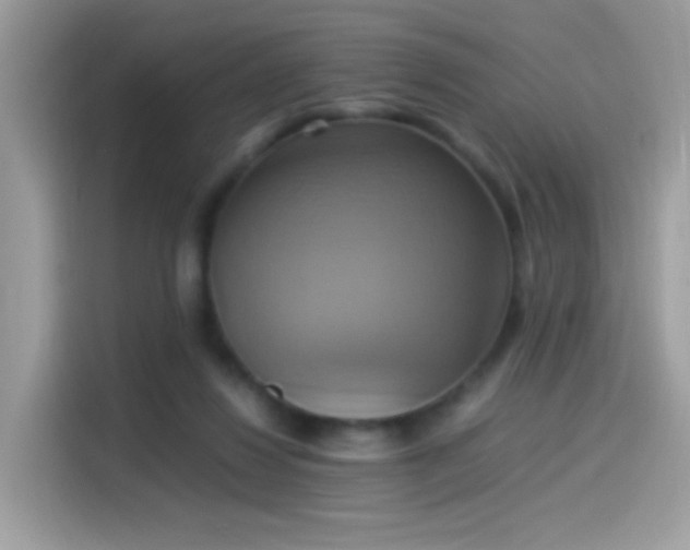 X0000115560260200911131633