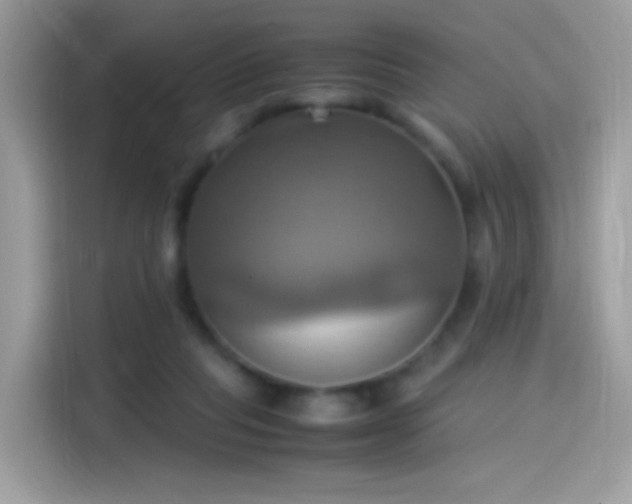 X0000115560261200911131633