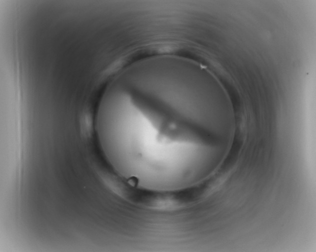 X0000115560262200911131633