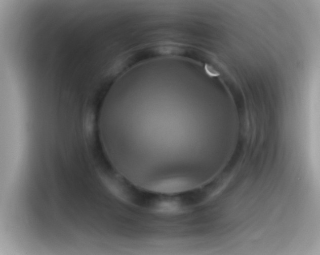 X0000115560263200911131633