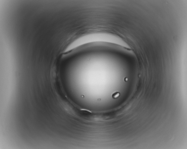 X0000115560264200911131633